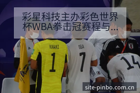 彩星科技主办彩色世界杯WBA拳击冠赛程与排名变化分析 - 平博体育App