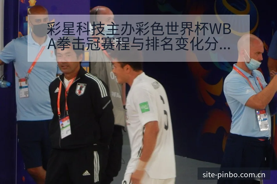 彩星科技主办彩色世界杯WBA拳击冠赛程与排名变化分析 - 平博体育App